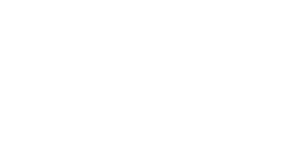 ppg-icon